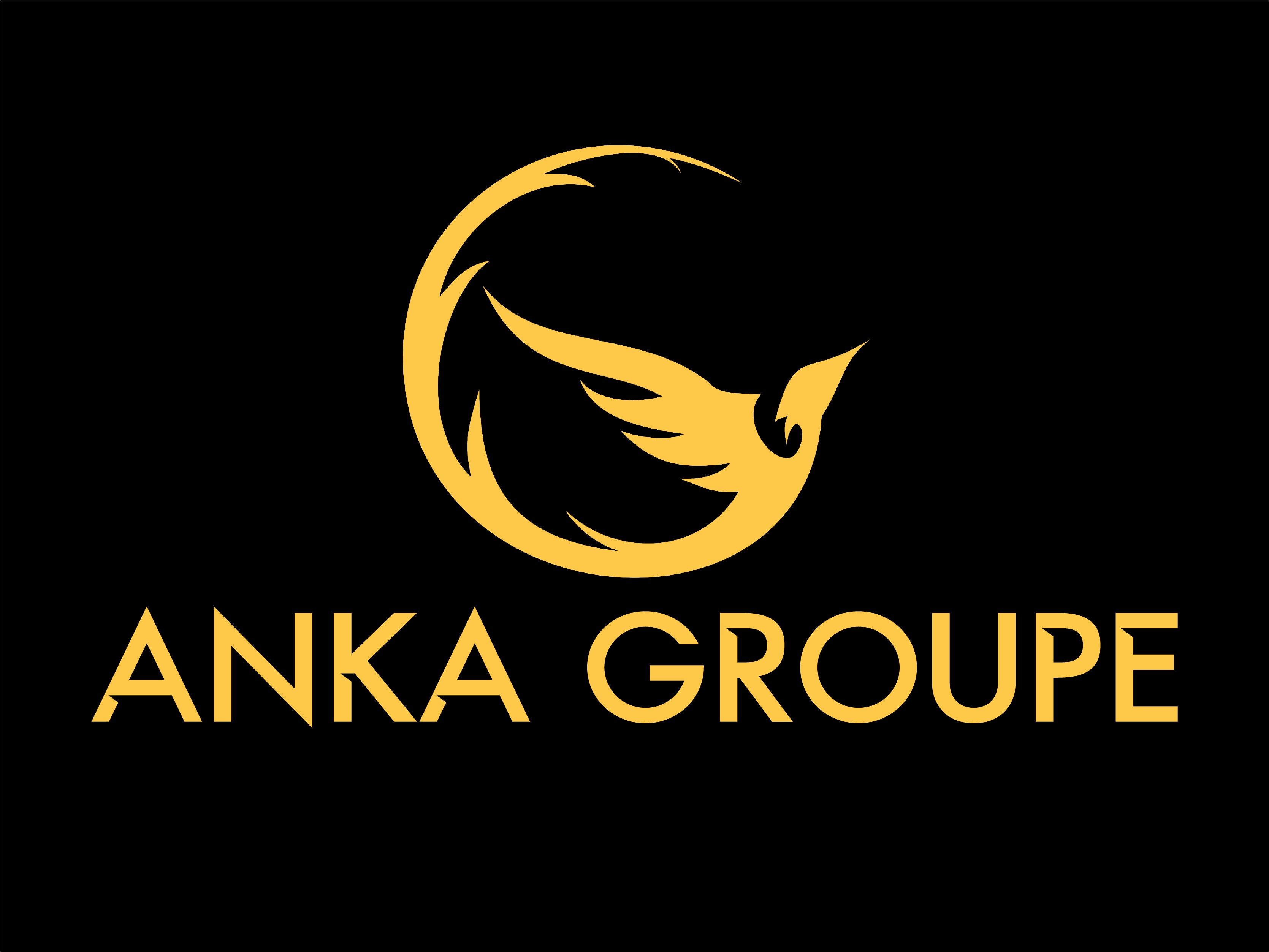 Anka Groupe